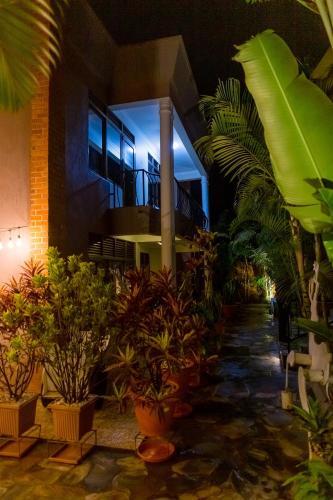 Bed & Breakfast Nzuki House