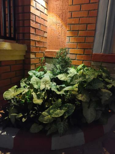 Z&t Bnb Homestay
