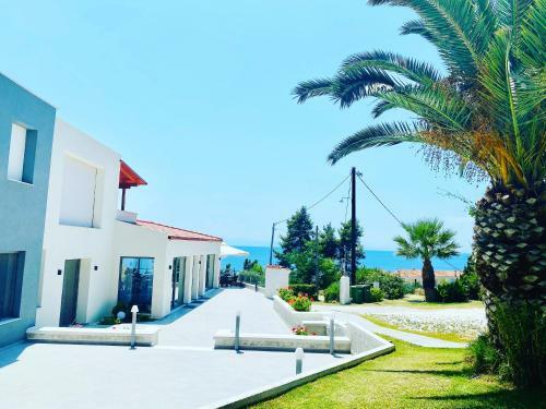 Apartamento Alexandrina