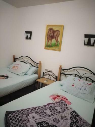 Apartamento ???????? ????? ??????