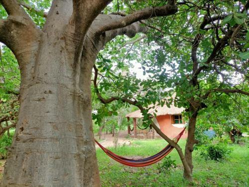 Lodge Naturubuntu