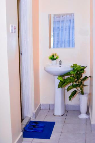 Hostal Cardinal Home