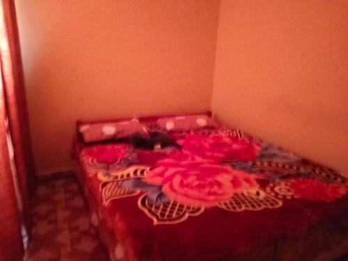 Taita Classic Homez