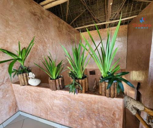 A Beach Front 4 Bedroom Home