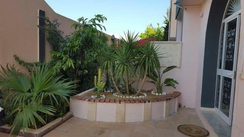 Apartamento R�sidence Khechine