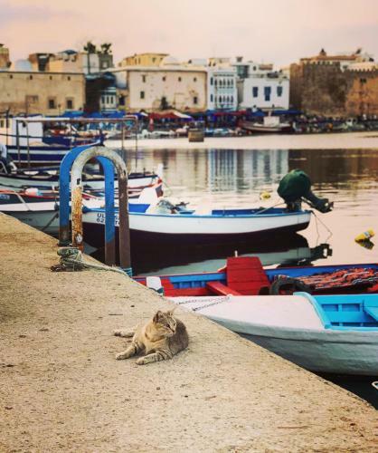 Dar Zina-bizerte