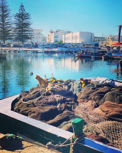 Dar Zina-bizerte