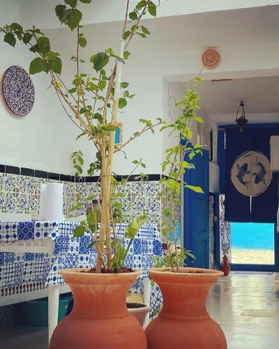 Dar Zina-bizerte