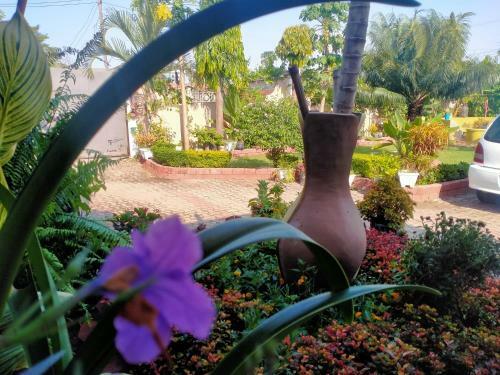 Babajay Homestay