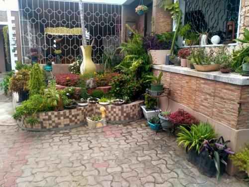 Babajay Homestay