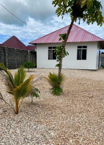 Bed & Breakfast Amos House