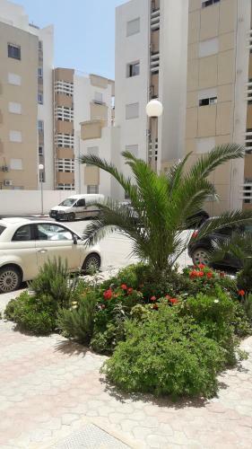 Apartamento Appartement Superbe