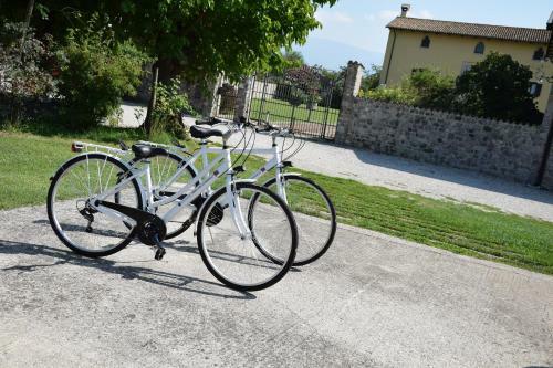 Agroturismo Agriturismo Domus Magna