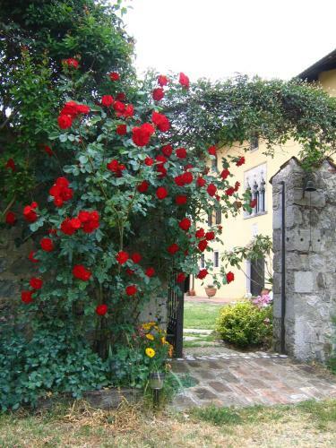 Agroturismo Agriturismo Domus Magna