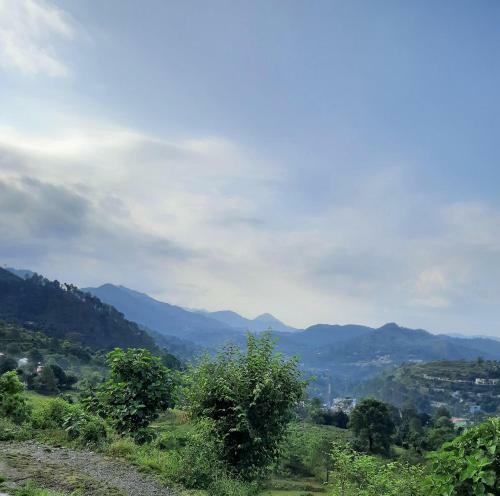Whitehouse Homestay