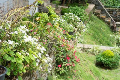 Lodge Amandara Hills Kandy