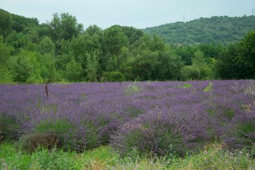 Bed & Breakfast La F�ni�re