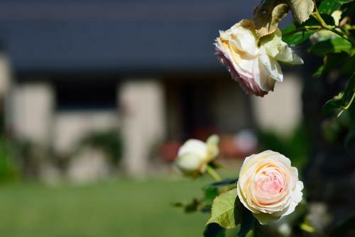 Bed & Breakfast Le Val De Brangon