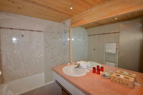Hotel Le D�me