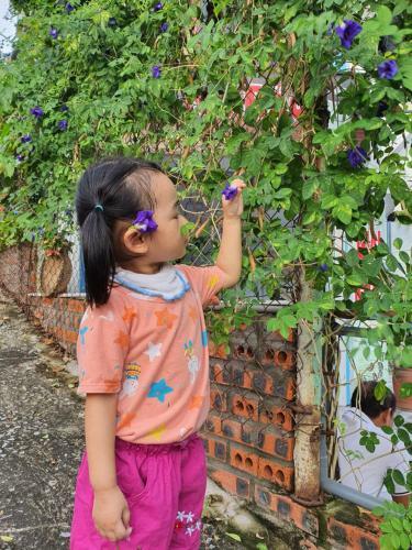 Nha Xanh Ha Long Homestays