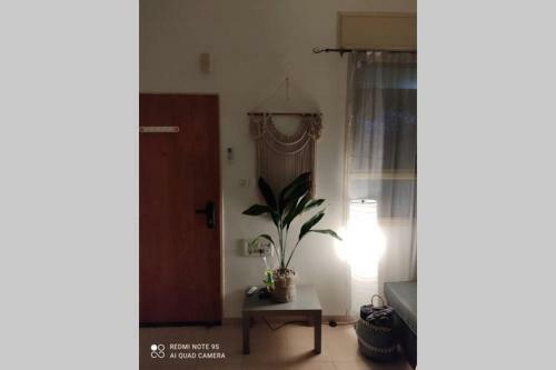 Apartamento ??? ????