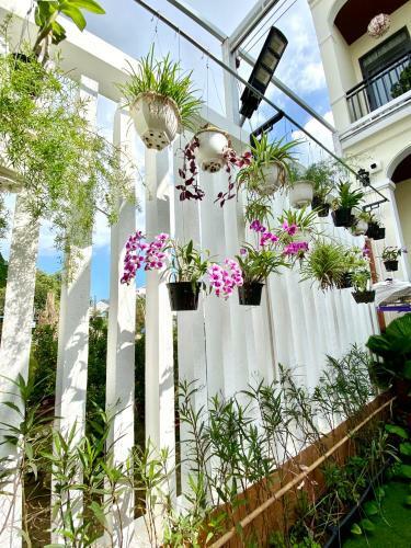 Bed & Breakfast Golden Field Villa Hoi An