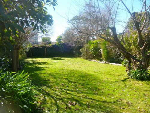 Haven On Hannan - Whitianga Holiday Home
