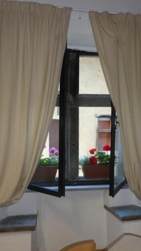 Albergue Casa Ciuca