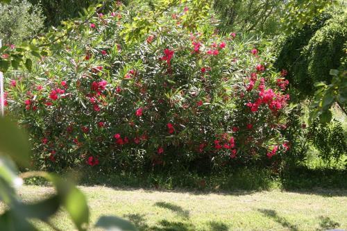 Bed & Breakfast Villa Hanna