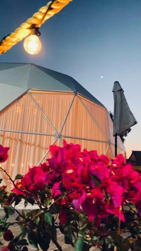 El Gato Glamping Con Vista A Prismas Bas�lticos