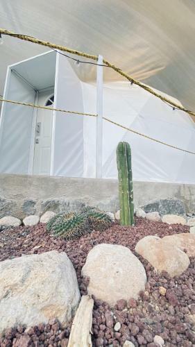 El Gato Glamping Con Vista A Prismas Bas�lticos