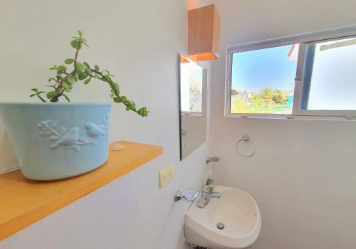 Apartamento Dive Inn