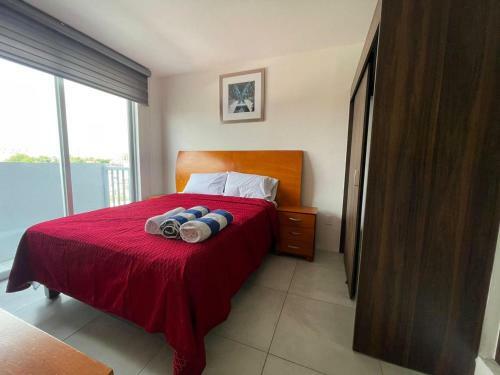 Apartamento Departamento En El Centro de Guadalajara