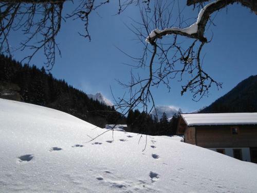Authentic Apartment In St Gallenkirch With Sauna