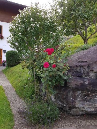 Apartamento Reiter, Haus