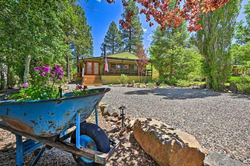 Incredible Munds Park Cabin With Guest Cottage!