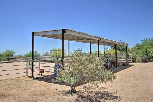 Modern Scottsdale Gem Hike, Golf, Explore!