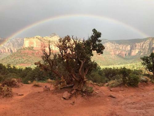 Serene 2 Bedroom! Walk To Trails! Red Rock Mountain Views!