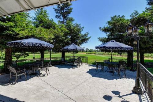 Provence Estate Nestled Along Lodi Wine Trails