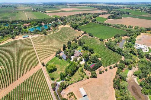 Provence Estate Nestled Along Lodi Wine Trails