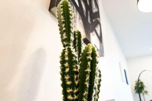 Apartamento Zen 1br Stay Located Minutes From Downtown