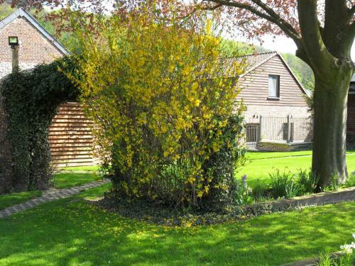 Schophemmerhoeve