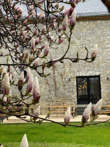 La Tannerie De Durbuy B&B