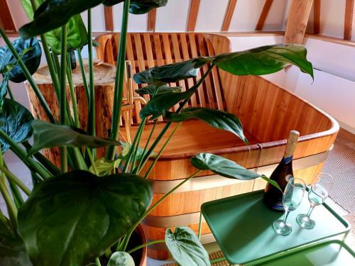 Hostal Petit-bomal Farm Suites