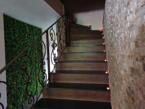 Hotel Kamelia Guest Rooms