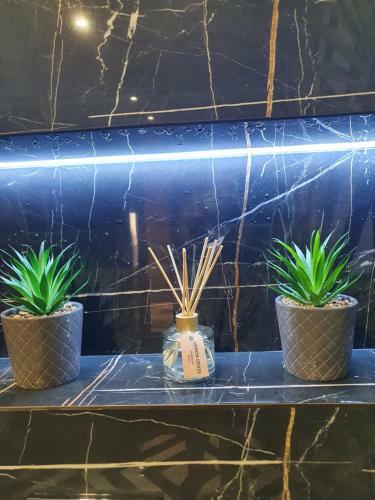Hotel Kamelia Guest Rooms