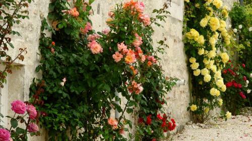 Hostal La Bordette