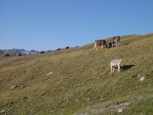 Hotel Rifugio Garibaldi