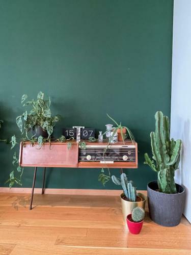 Apartamento Jungle Loft In Lausanne Centre