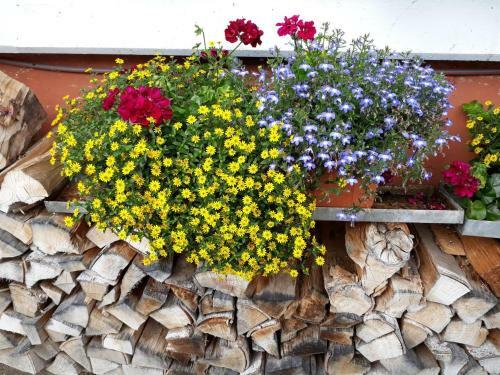 Hostal Isoldes Landhaus